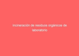 incineración de residuos orgánicos de laboratorio